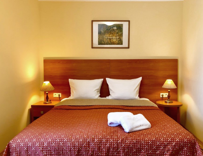 Стандарт double (корп. 1,2,3,4,5) - Комплекс отдыха «Бекасово»